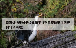 别再烦恼里徘徊经典句子（别再烦恼里徘徊经典句子简短）